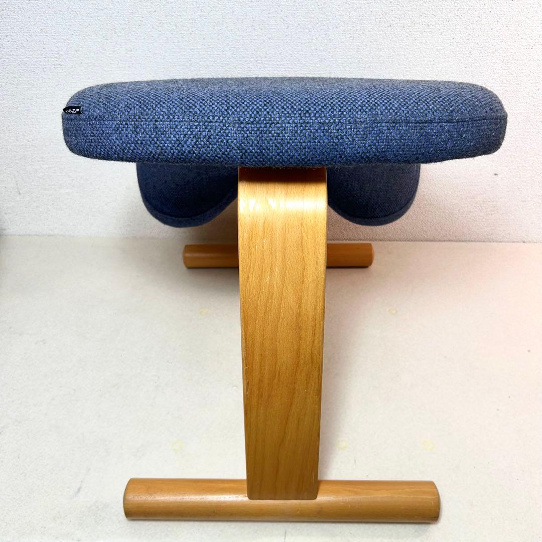 Rybo リボ社 バランスイージー バランスラボ ネイビー 姿勢矯正