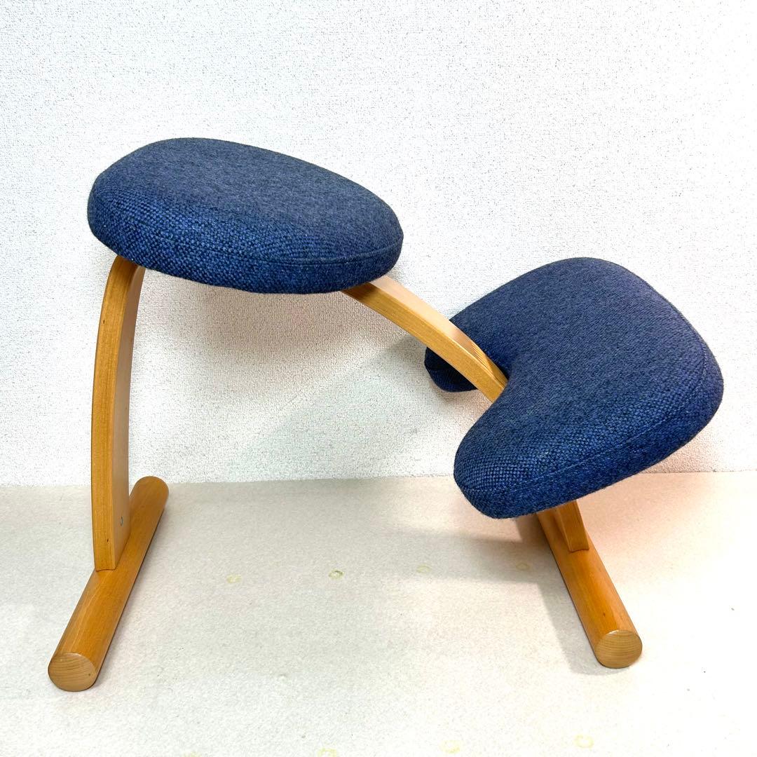 Rybo リボ社 バランスイージー バランスラボ ネイビー 姿勢矯正