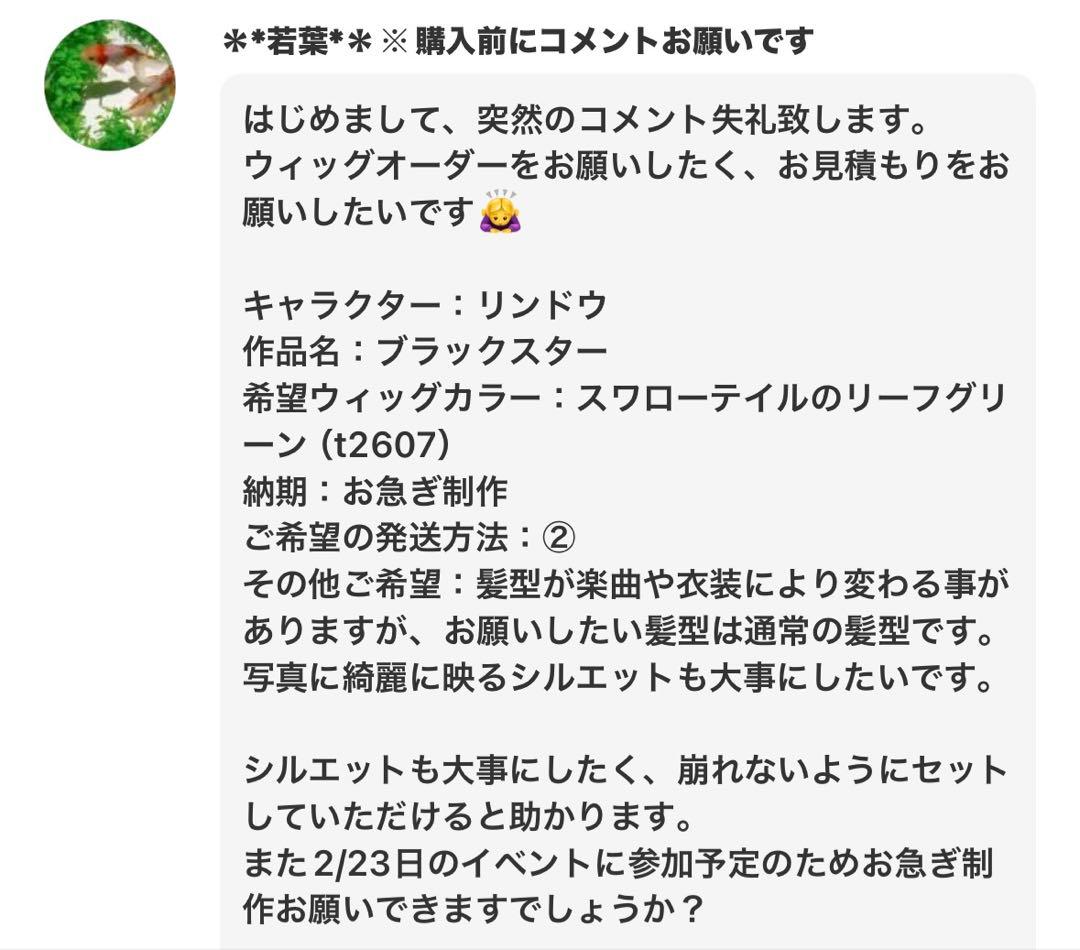 若葉様 ウィッグオーダー②制作費ページ