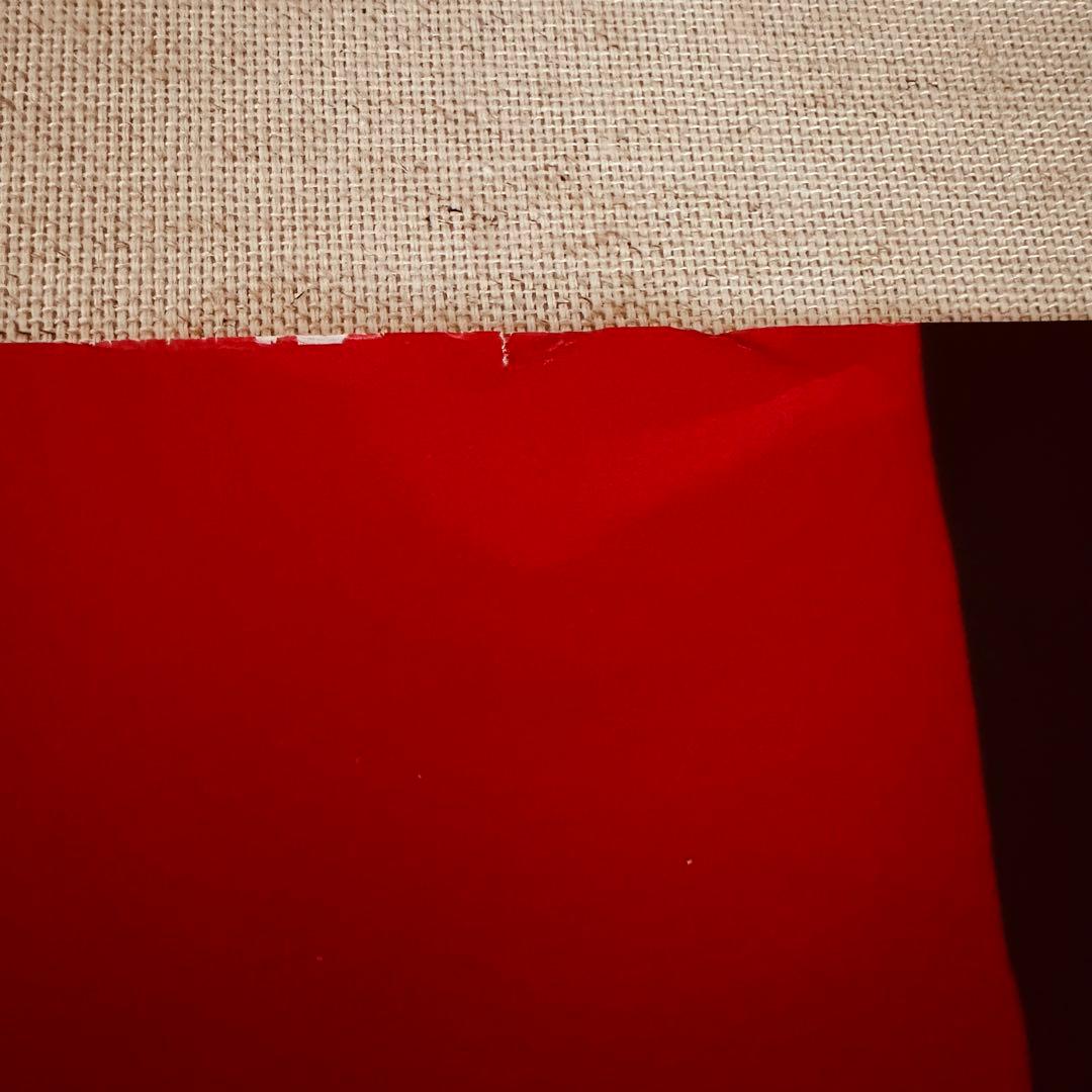 アート・デザイン・音楽 Mark Borthwick Abandom Reverie`