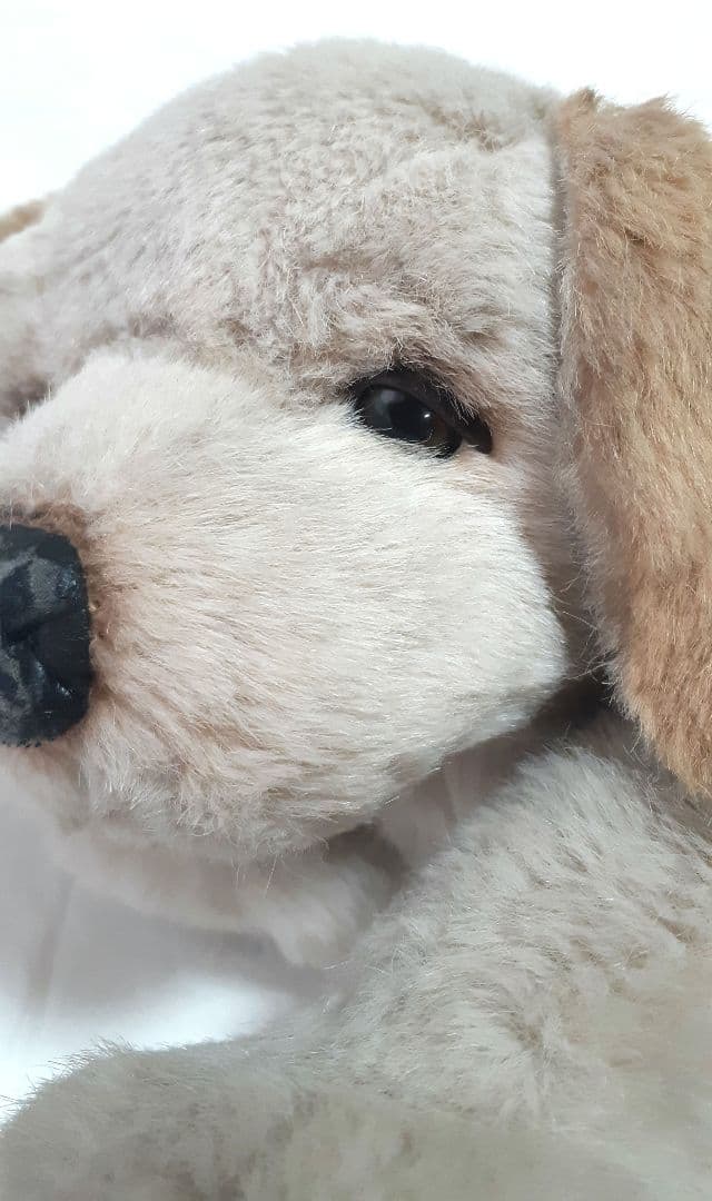 【美品】ジョックライン　JOCKLINE社　当時物　イタリア製　犬　ゴールデン