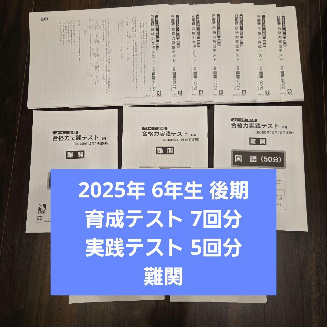 6年 後期 育成テスト 実践テスト 難関 2025年度 日能研