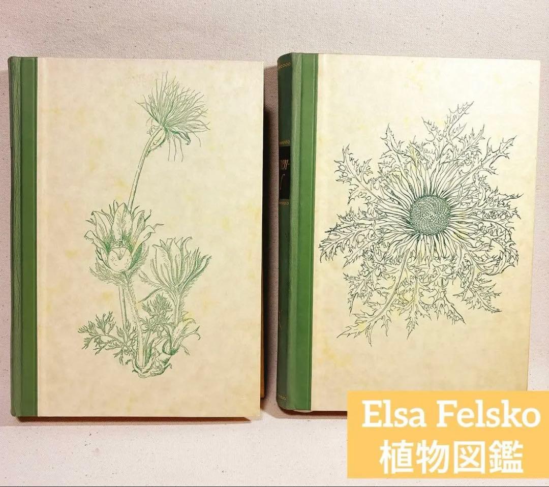 美しい植物画 Elsa Felsko 植物図鑑2冊 Blumen 洋書 すずらん