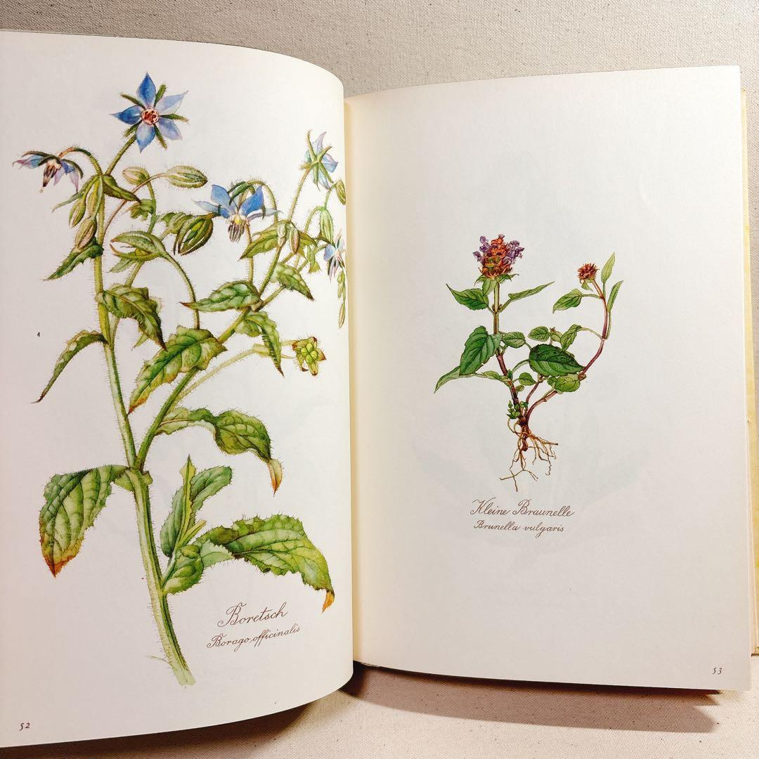 美しい植物画 Elsa Felsko 植物図鑑2冊 Blumen 洋書 すずらん