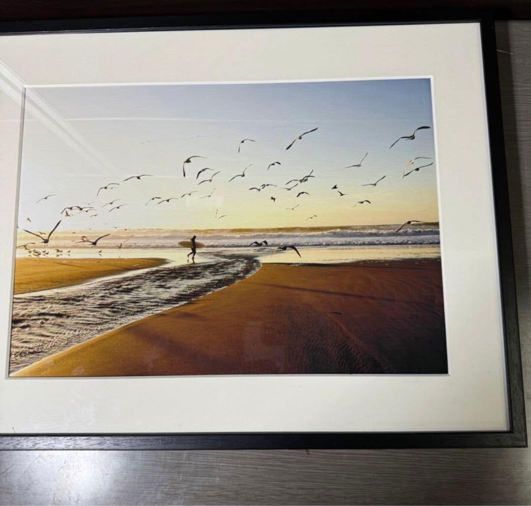 希少廃番　wtw モーガン　マッセン　フォトフレーム　BIRD モーガンマッセン