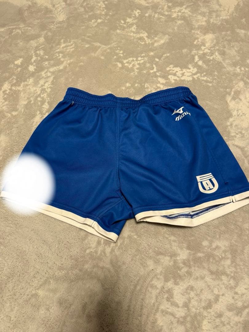 バレーボール　国体　インターハイ　大学　東亜