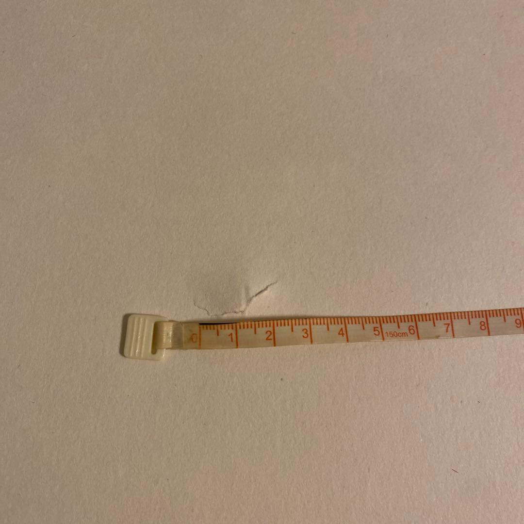 ミナペルホネン　mina perhonen　forest gateポスター