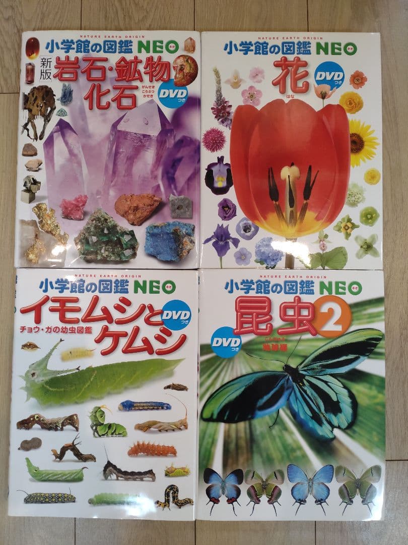 小学校の図鑑 NEO DVD　12冊セット