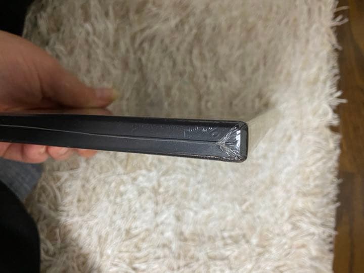 宝塚　堕天使の涙　DVD 新品未開封　廃盤レア　おまけパンフレット