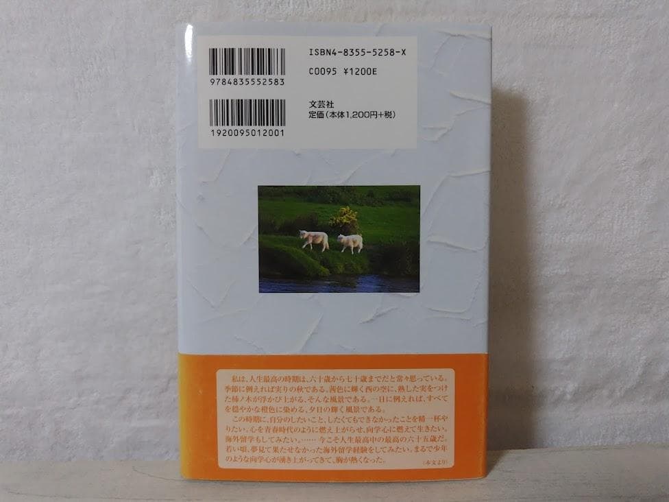 【帯付】[初版]六十五歳アイルランド留学物語／酒井 治信　文芸社　eo