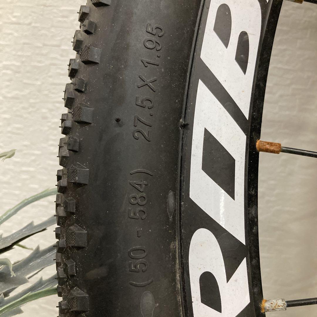 CC231 EUROBIKE タイヤ　フレーム