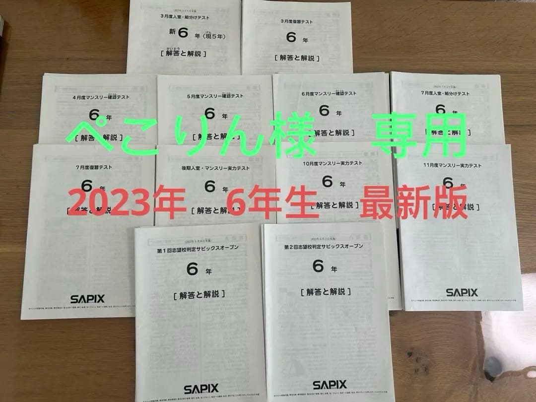 2024年度 サピックス6年生 テスト 一年分 12回分 2024年度使用分