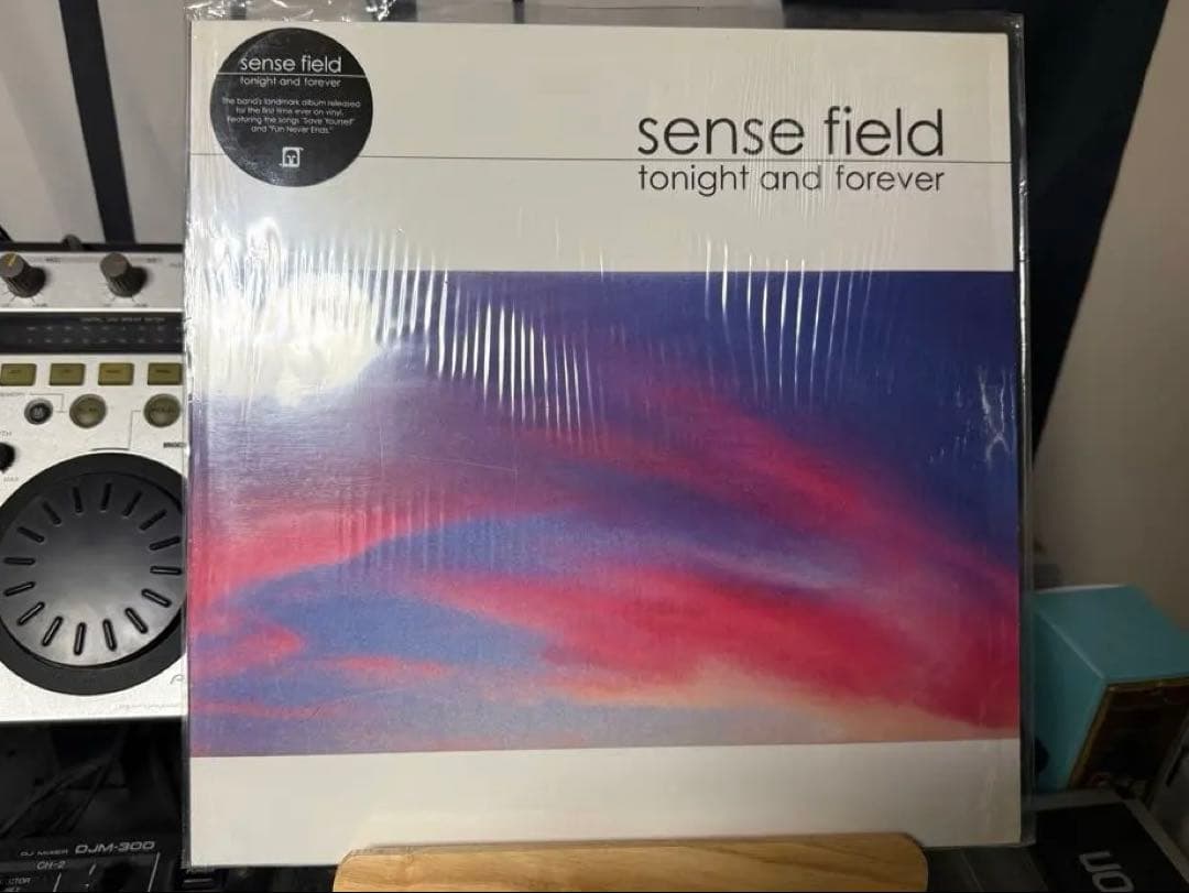 sense field / tonight and forever LP 激レア