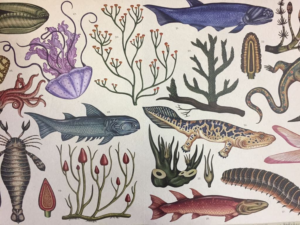 ［パプリカさま専用！］アロモア アロマディフューザー