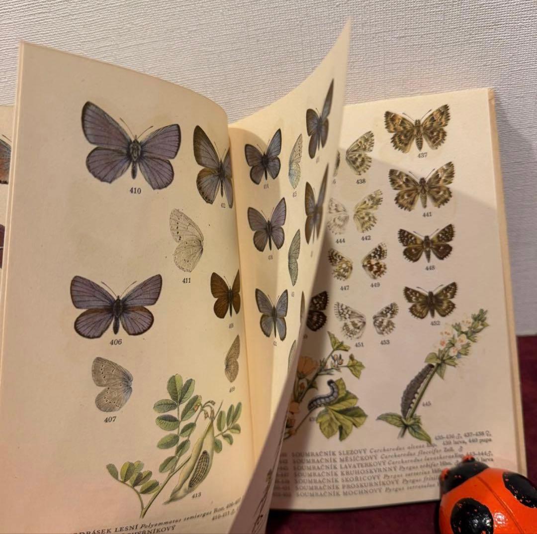 129②チェコ蝶々図鑑　2冊セット　洋書古書　ジャンクジャーナル　ボタンニカル
