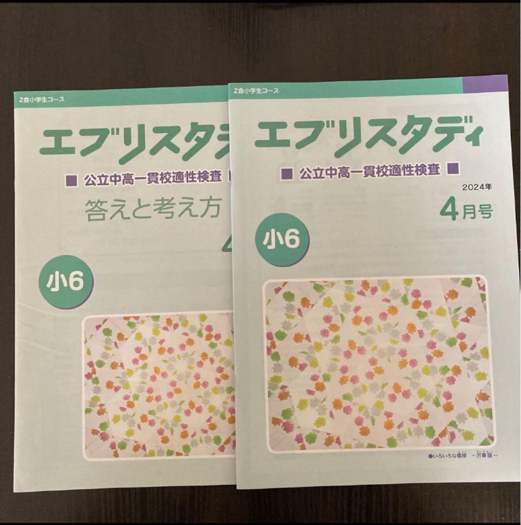【商品No.10】Z会 エブリスタディ 適性検査 小6 公立中高一貫 添削のみ
