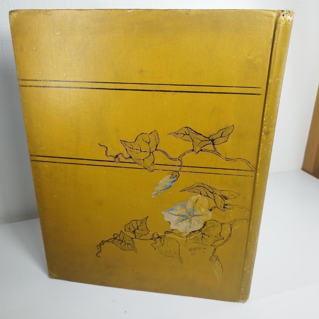 1890年 ヴィクトリアン絵本 本 book ideal heads fB1B