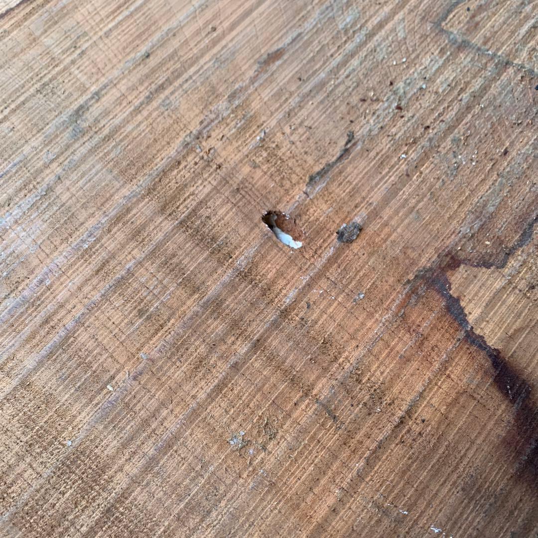 一枚板　無加工現状 6×65×156cm