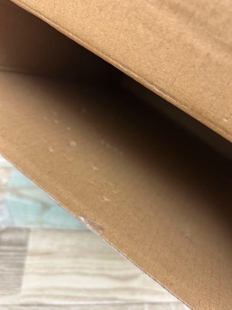 希少　RIPNDIP リップンディップ 猫 バスケットゴール