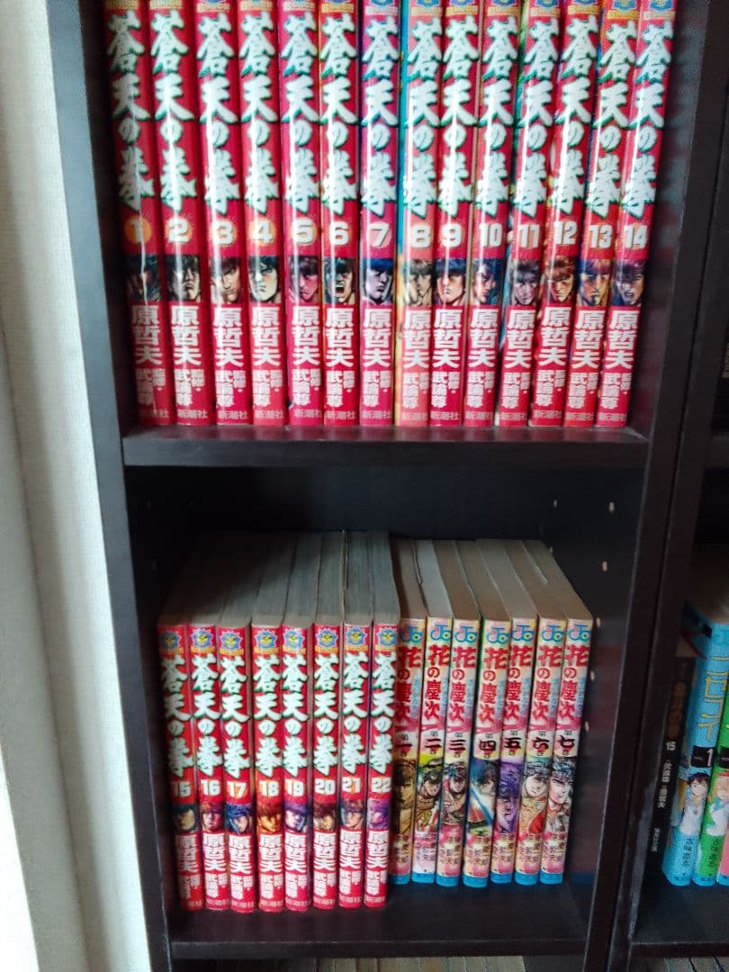 原画アートパネル 北斗の拳、花の慶次、蒼天の拳全巻セット