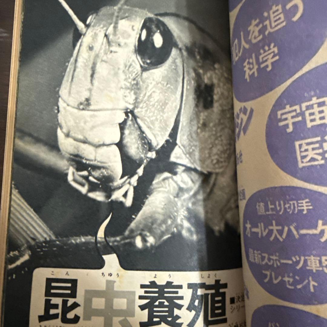 週刊少年マガジン　第37号9月6日号