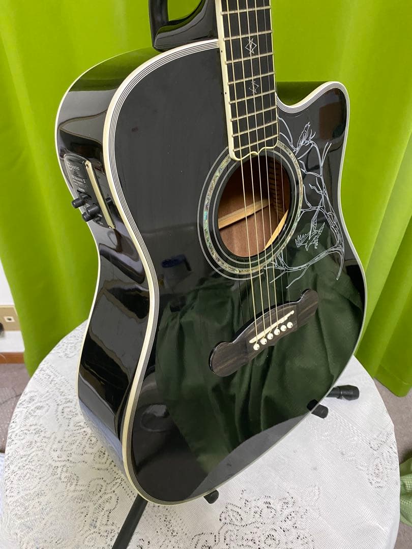 タ*坊様 極上美品　気分はホットチリペッパー！エピフォンDave Navarro