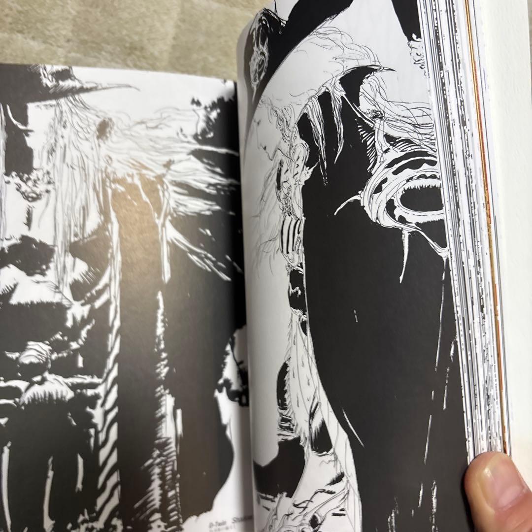 サーちゃんさん専用　吸血鬼ハンター\"D\" : 天野喜孝画集　帯チラシ付き