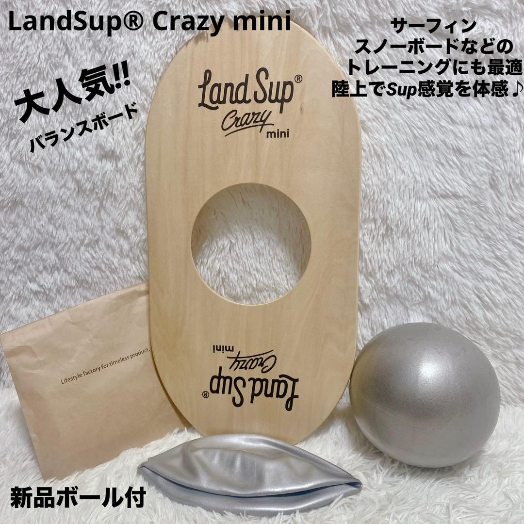 大人気 LandSup Crazy mini サーフィン バランスボード 日本製