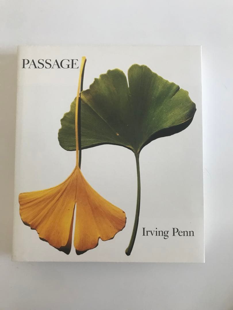Irving Penn アーヴィング・ペン PASSAGE 写真集