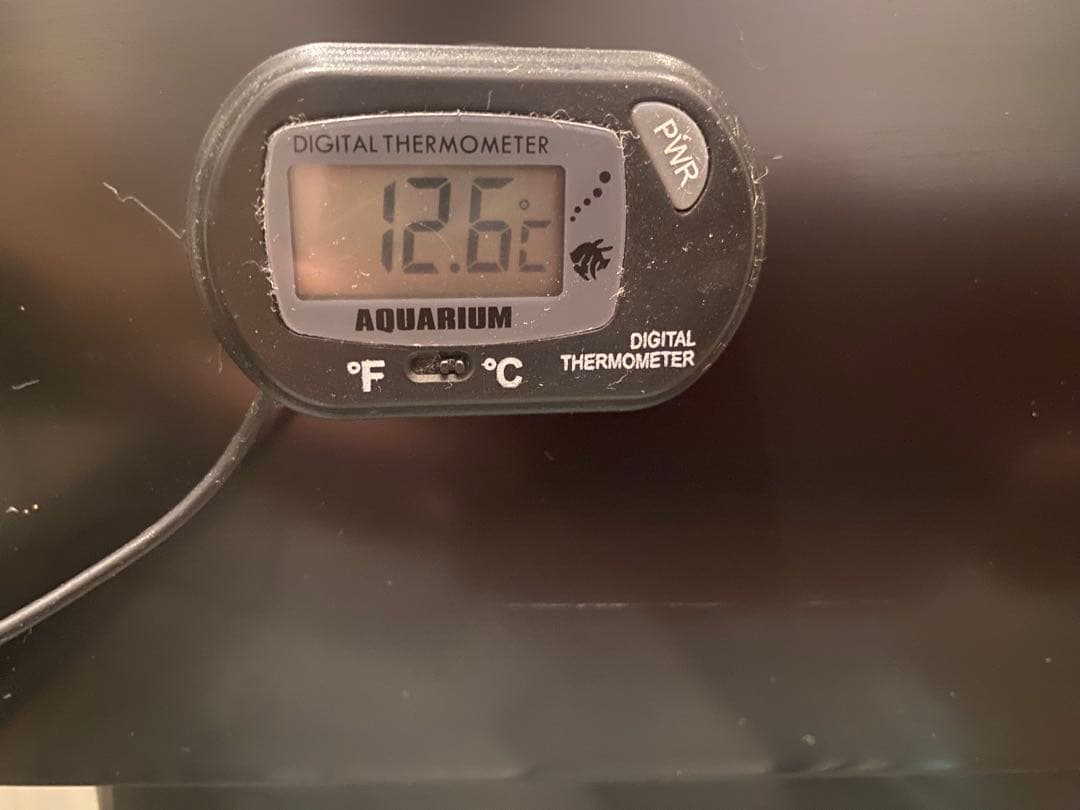 大型ガラス水槽 W900、LED、ポンプ、ヒーターなど全て一式 ※現物引渡しのみ