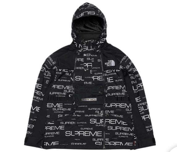 (;´д｀)　新品未使用　Supreme THE NORTHFACE