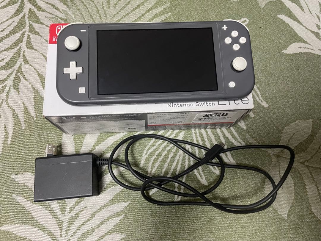 Nintendo Switch Lite 動作確認済みACアダプター付