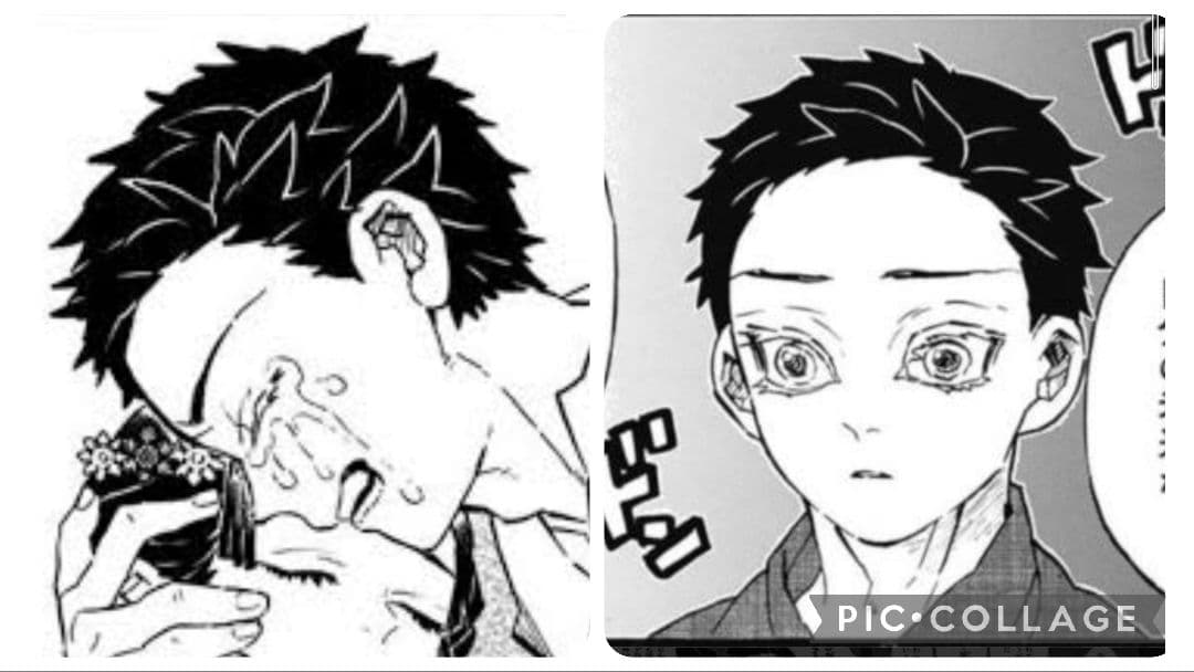 【ウィッグオーダー】ぬこページ(11月までに)