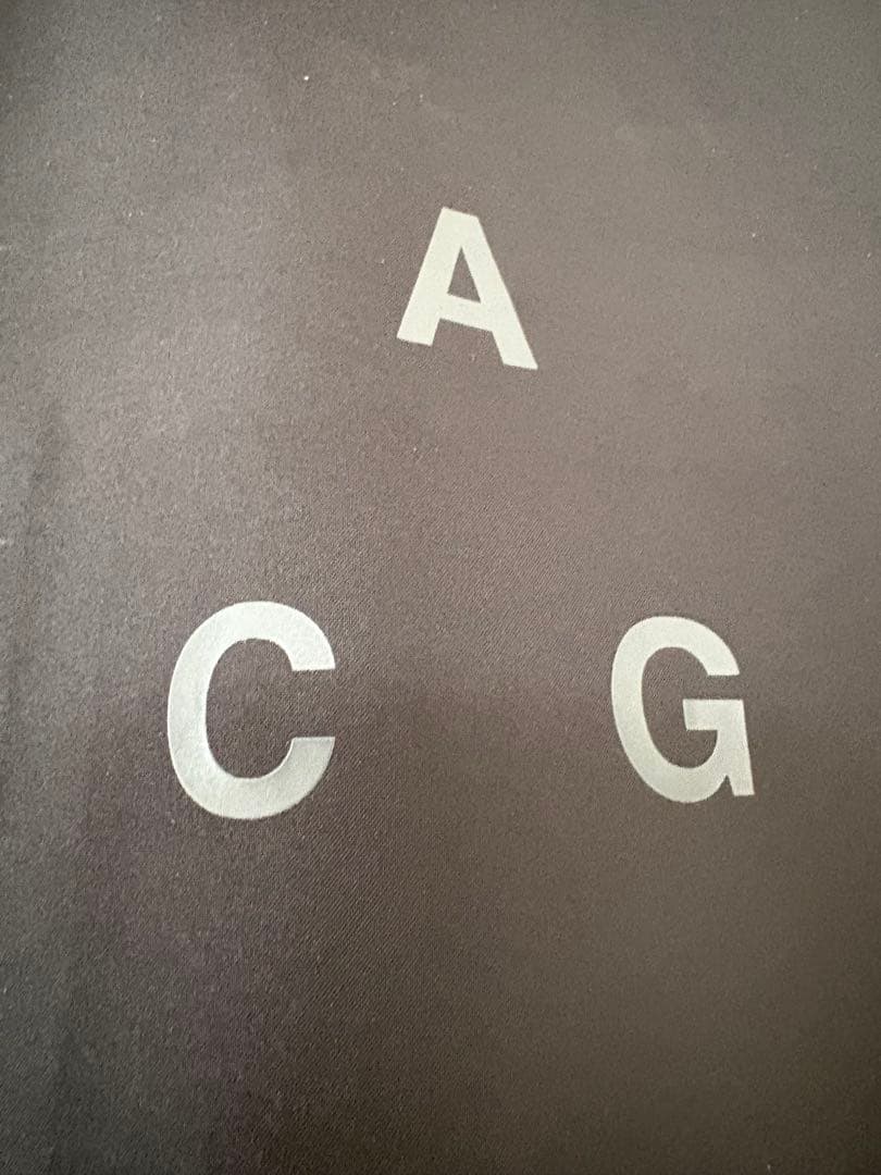 Nike LAB ACG 3 in 1 GORE-TEX コート　XL