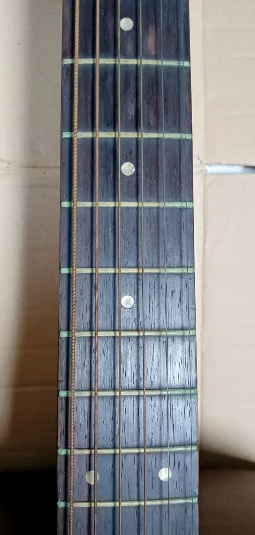 希少 YAMAHA FG-160 ハードケース付き