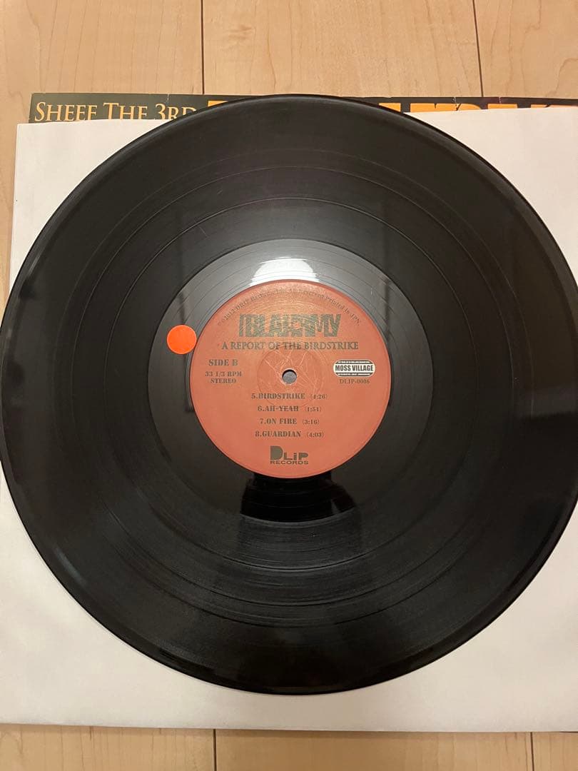 BLAHRMY A Report of the Birdstrike レコード