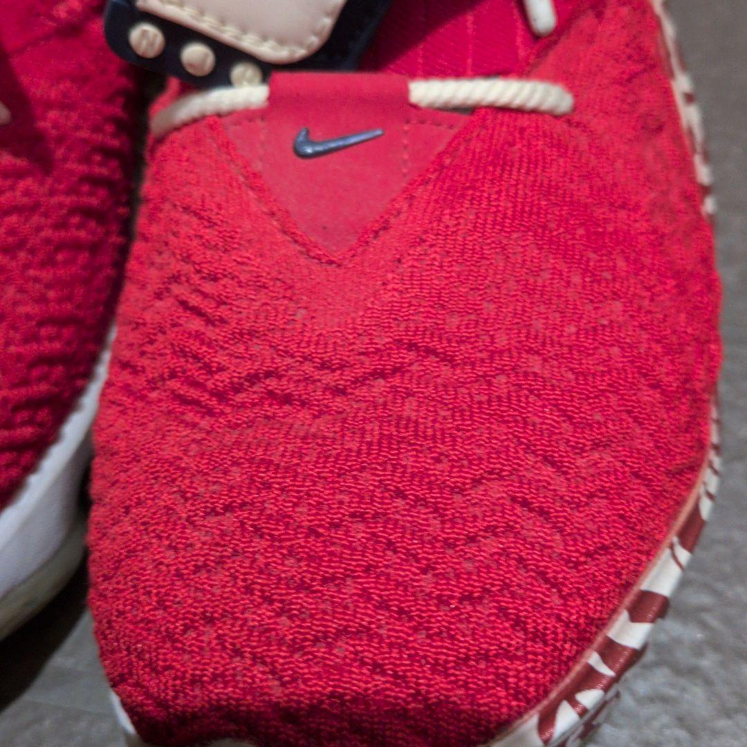 宮☆NIKE LEBRON17 ナイキレブロン17☆