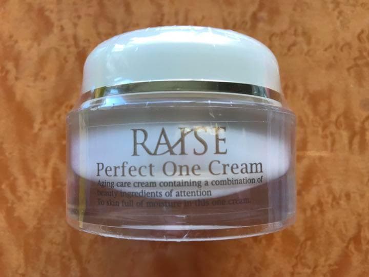 10個複数割引有RAISE レイズ パーフェクトワンクリーム オールインワン1
