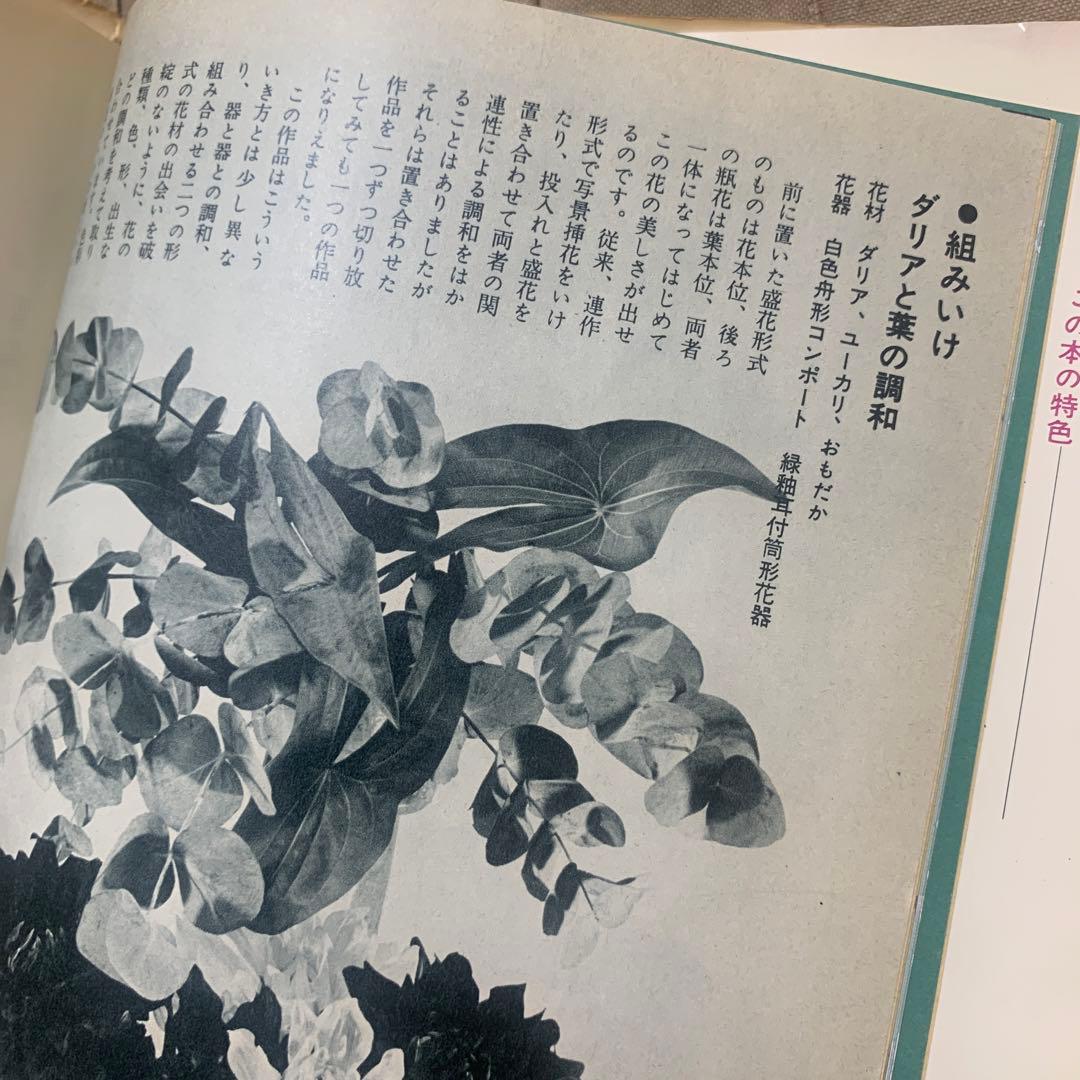 【希少！】小原流いけ花入門―すぐわかる分解写真式