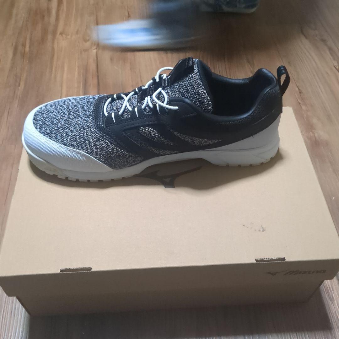 Mizuno 安全靴 ブラック/グレー