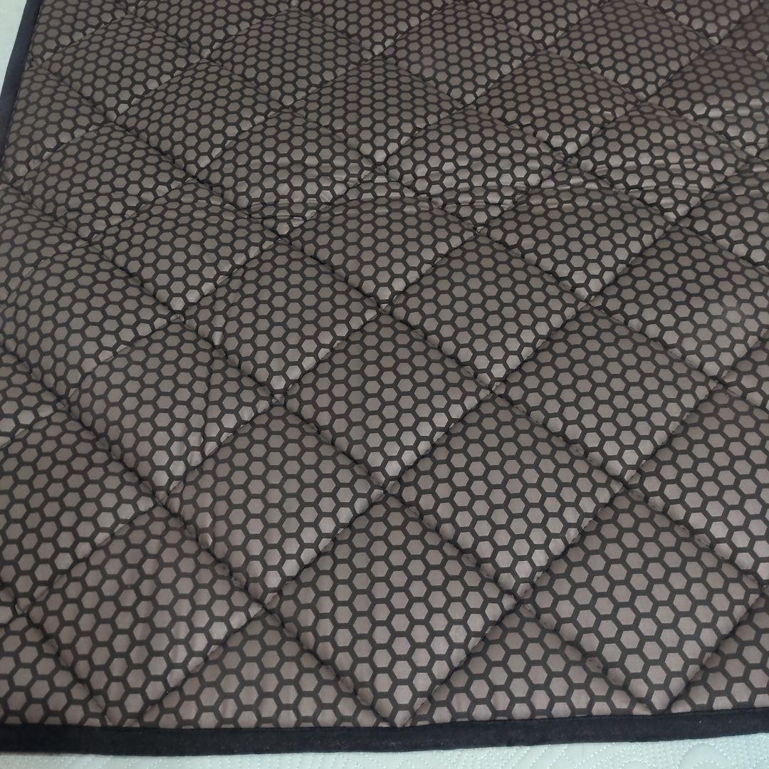 【美品・値下げ中】カーリスマット テラソフト 75cm x 140cm