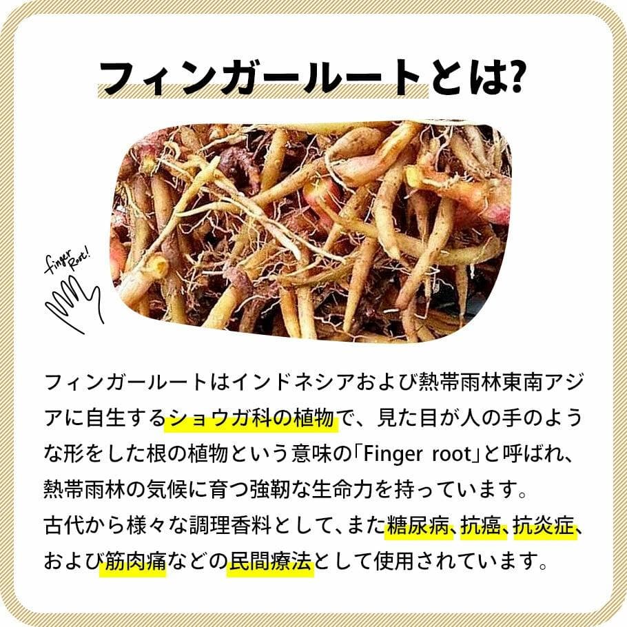 燃えるしょうがパワー フィンガールートカプセル180粒×5袋セット 健康 美容