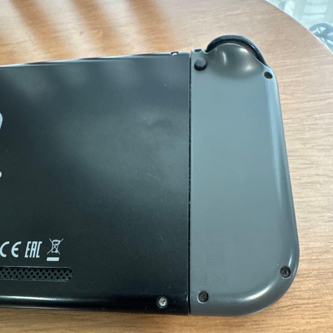 Nintendo Switch Switch lite ケース付き