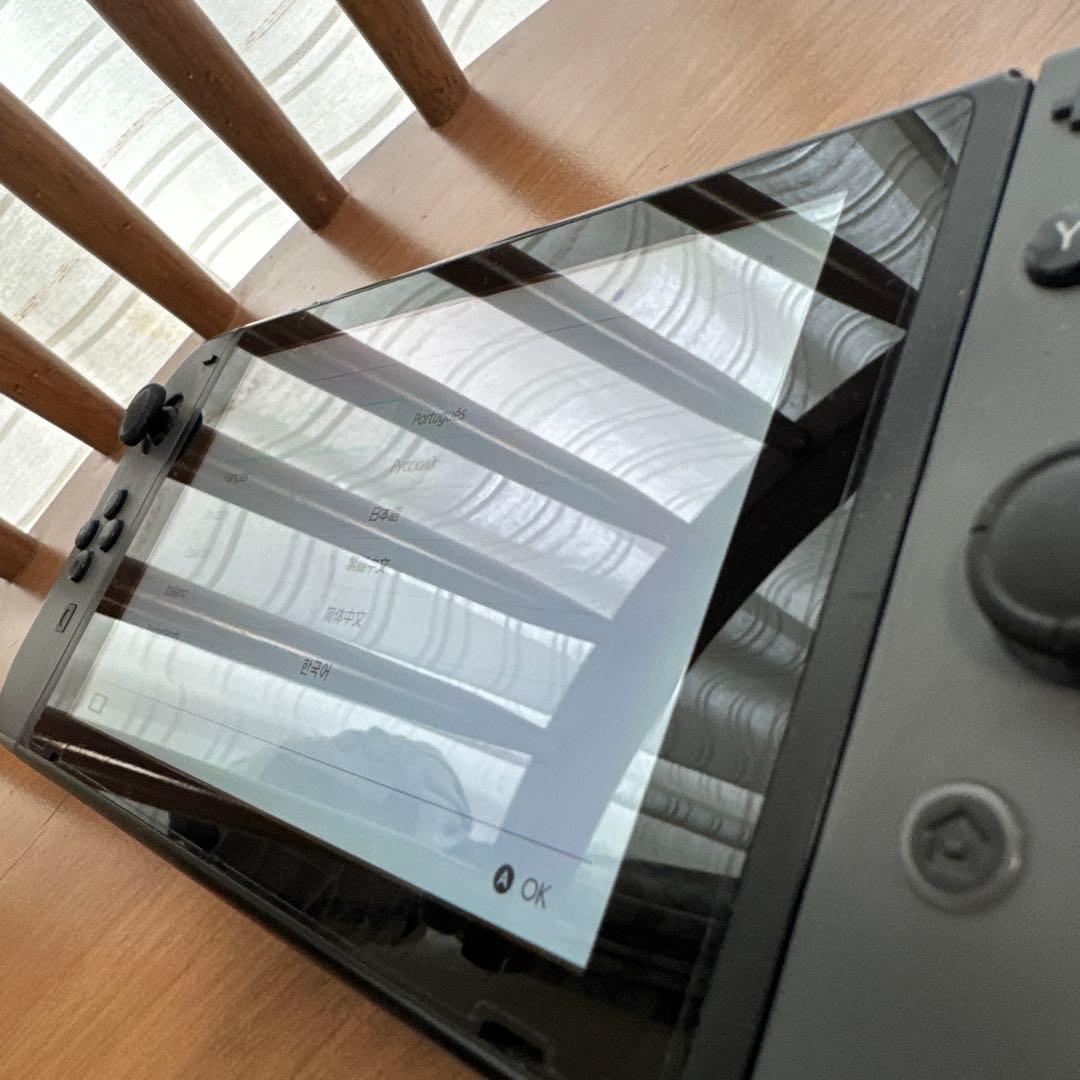 Nintendo Switch Switch lite ケース付き