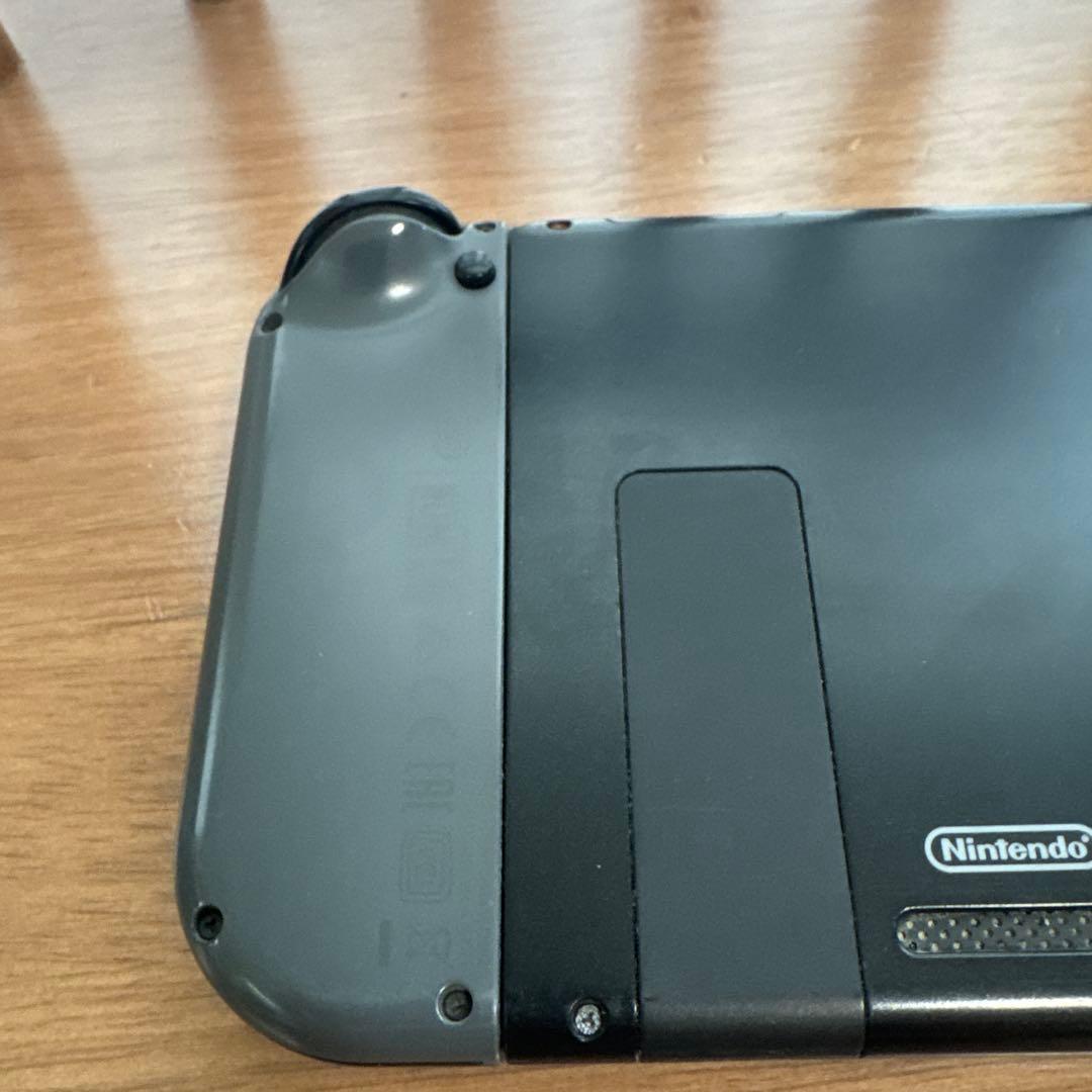 Nintendo Switch Switch lite ケース付き