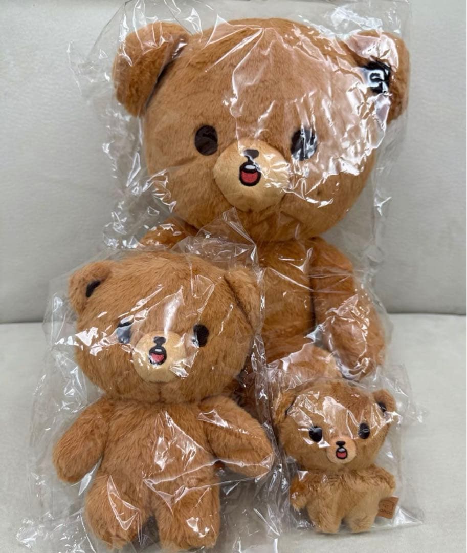 NCT ヘチャン 40cmぬいぐるみ イコムド マスター 이곰도