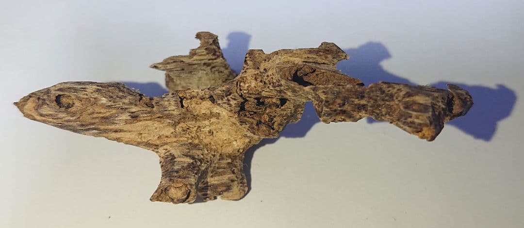 香木 沈香 伽羅 聞香◎品名 タイ産 南部③