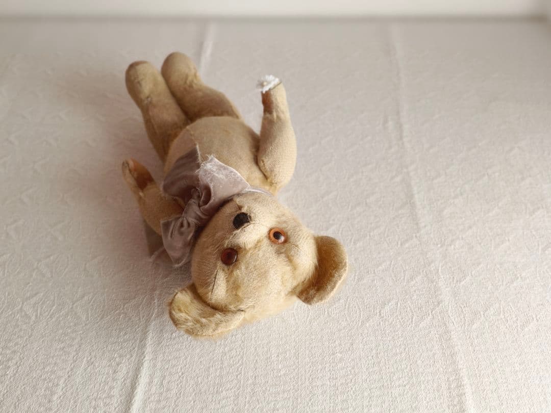 * antique bear ୨୧ .·*° オレンジの瞳が可愛い クマさん