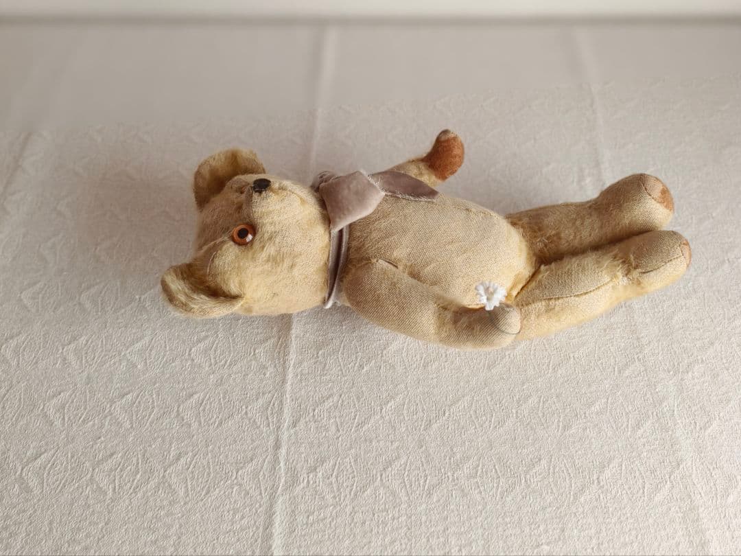 * antique bear ୨୧ .·*° オレンジの瞳が可愛い クマさん