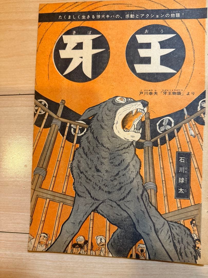 切り抜き　牙王　少年マガジン1965年41号　石川球太　戸川幸夫
